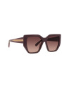 Edge Brown Geometric Sunglasses