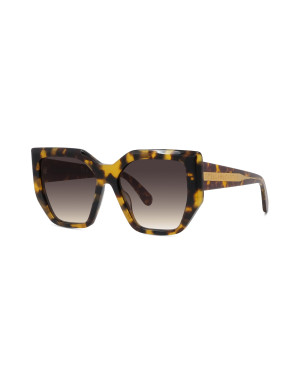 Edge Havana Geometric Sunglasses