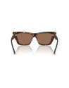 Occhiali da sole Jimmy Choo 5028 disponibili online da Ottica Ricci