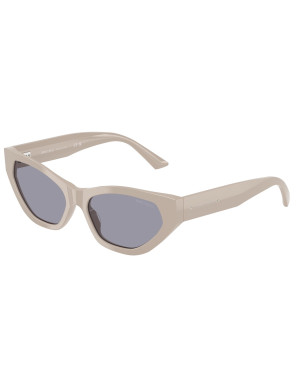 Occhiali da sole Jimmy Choo 5022B disponibili online da Ottica Ricci