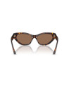 Occhiali da sole Jimmy Choo 5022B disponibili online da Ottica Ricci