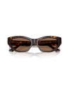 Occhiali da sole Jimmy Choo 5022B disponibili online da Ottica Ricci