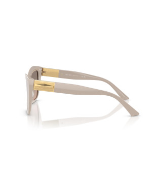 Occhiali da sole Jimmy Choo 5031 disponibili online da Ottica Ricci