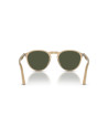 Occhiali sole Persol 3286S 116931 disponibili online da Ottica Ricci