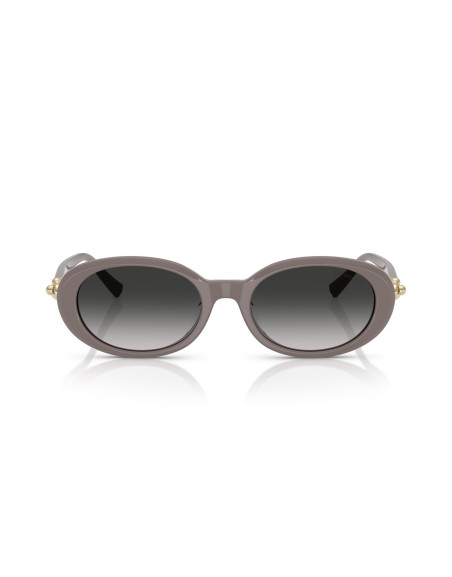 Occhiali da sole Tiffany & Co. 4242D 84013C online da Ottica Ricci