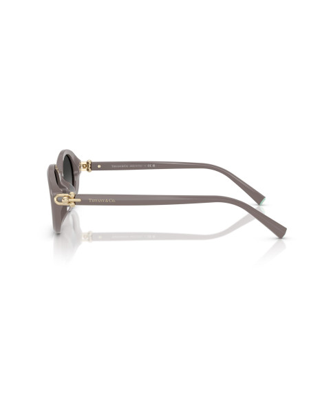 Occhiali da sole Tiffany & Co. 4242D 84013C online da Ottica Ricci