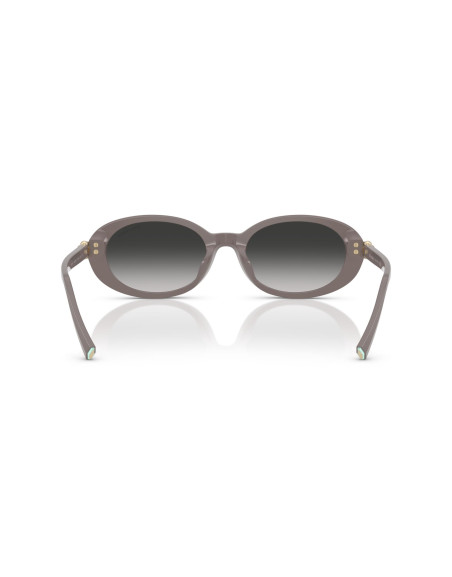 Occhiali da sole Tiffany & Co. 4242D 84013C online da Ottica Ricci