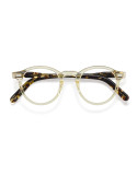 MOSCOT MILTZEN CITRON TORTOISE 46